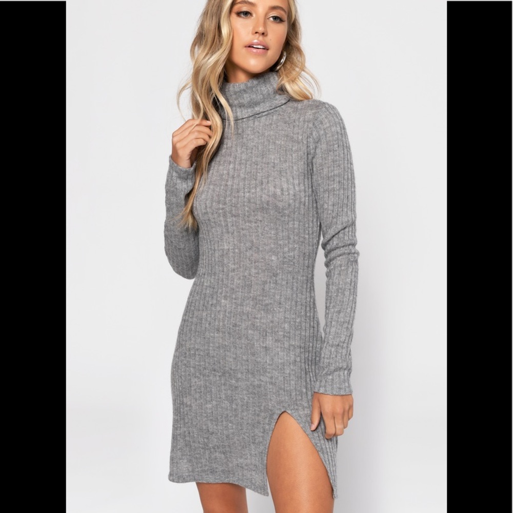 Tobi Turtleneck sweater dress!